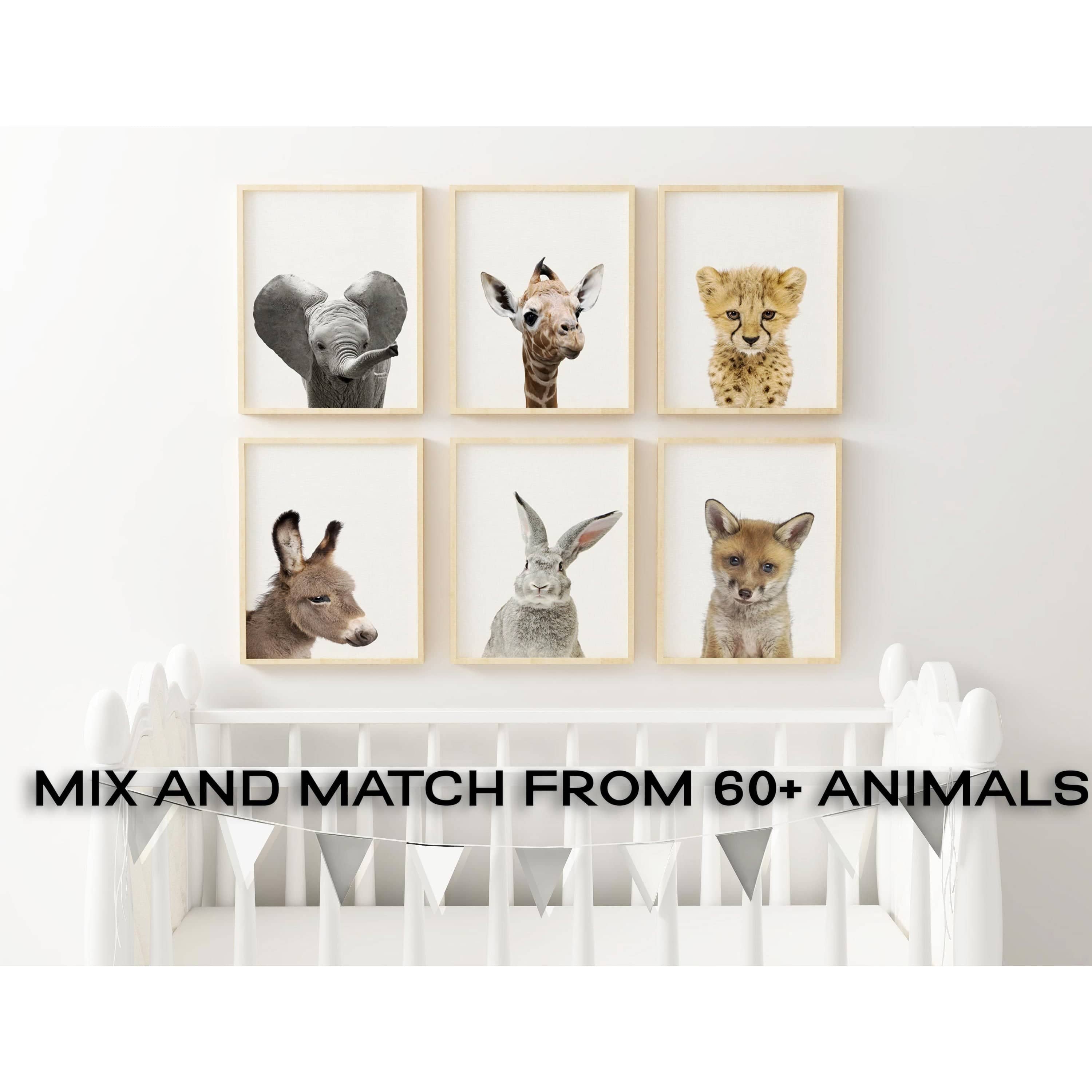 70+ Baby Safari Animals Prints | Animal Nursery Print | Peekaboo Nursery-Papier Art Designs