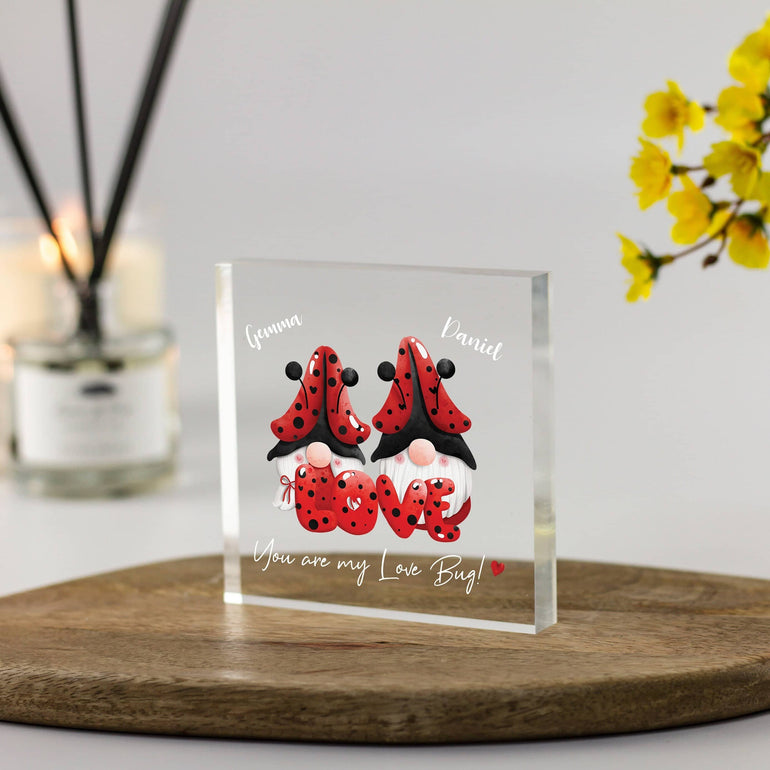 Valentines Gift for Him, Girlfriend Gift, Cute Funny Valentines Gift, Husband, Love you Gift Ideas, Gift for Wife, For Men Acrylic Block