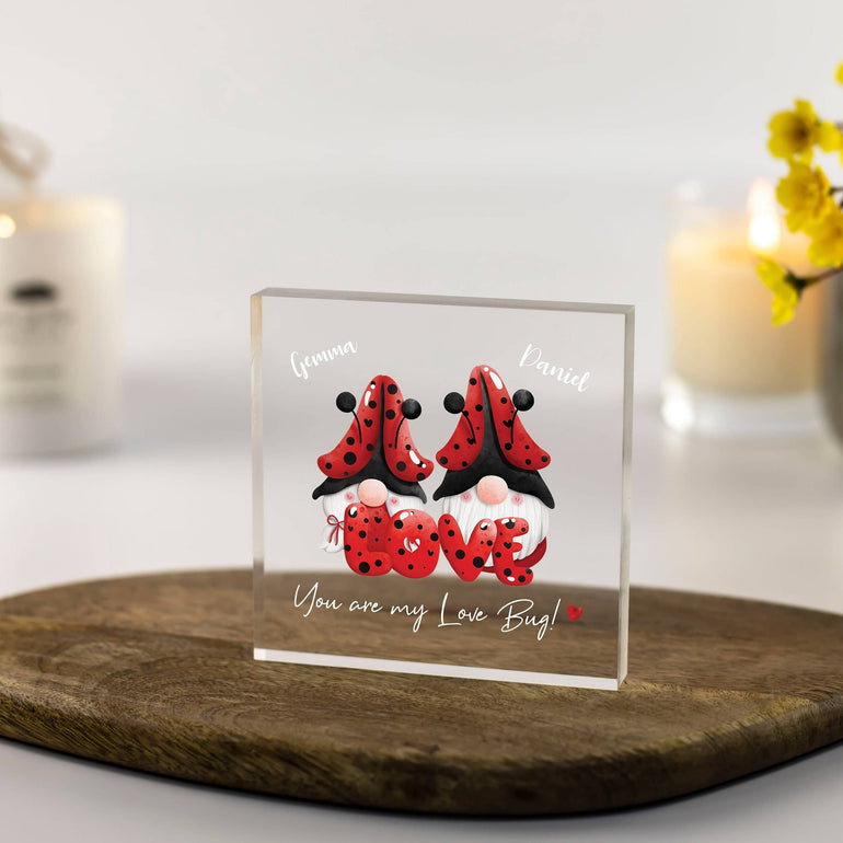 Personalised Valentines gift for girlfriend, boyfriend, Anniversary gifts, Funny cute gifts for him, her, gnome gifts