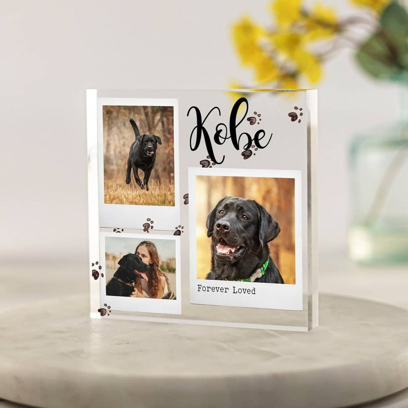 Dog memorial 3 photo frame acrylic block, Cat loss, dog lover, personalised rainbow bridge frame