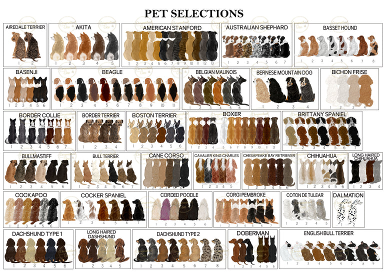Chart of various dog breeds with color swatches