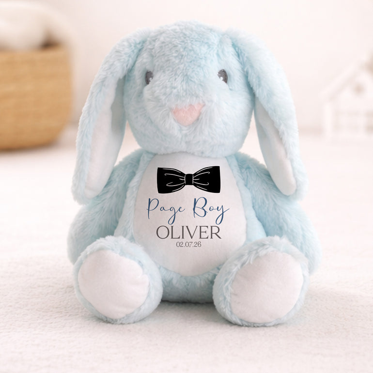 Blue plush teddy page boy gift