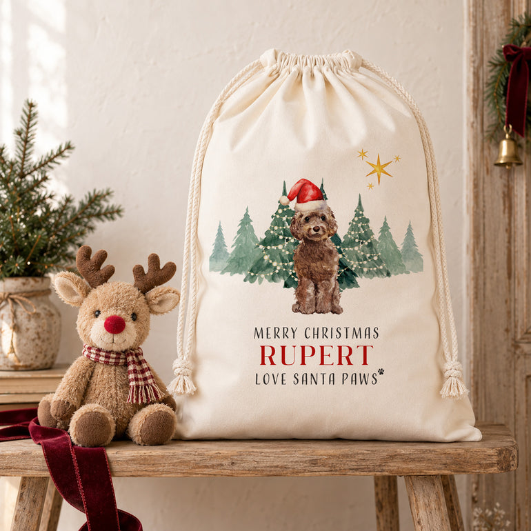 Personalised dog Christmas sack with illustrated dog in Santa hat, Christmas trees, pet name and Love Santa Paws wording.