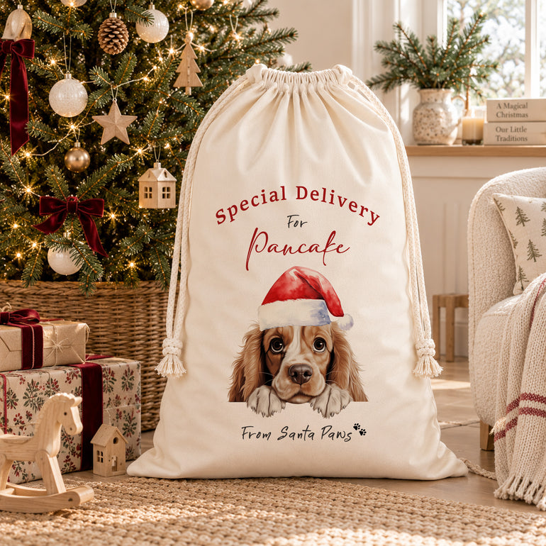 Personalised dog Santa sack with red Special Delivery lettering and a dog in a Santa hat, beside a Christmas tree and wrapped gifts.