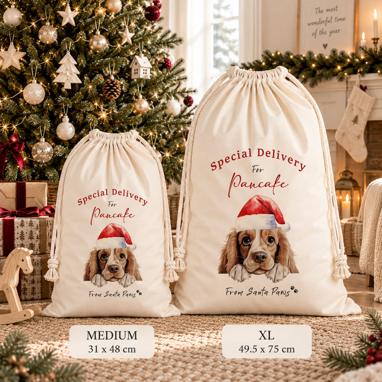 Medium and XL Santa Paws dog sacks side by side beneath a decorated Christmas tree, with measurements below.