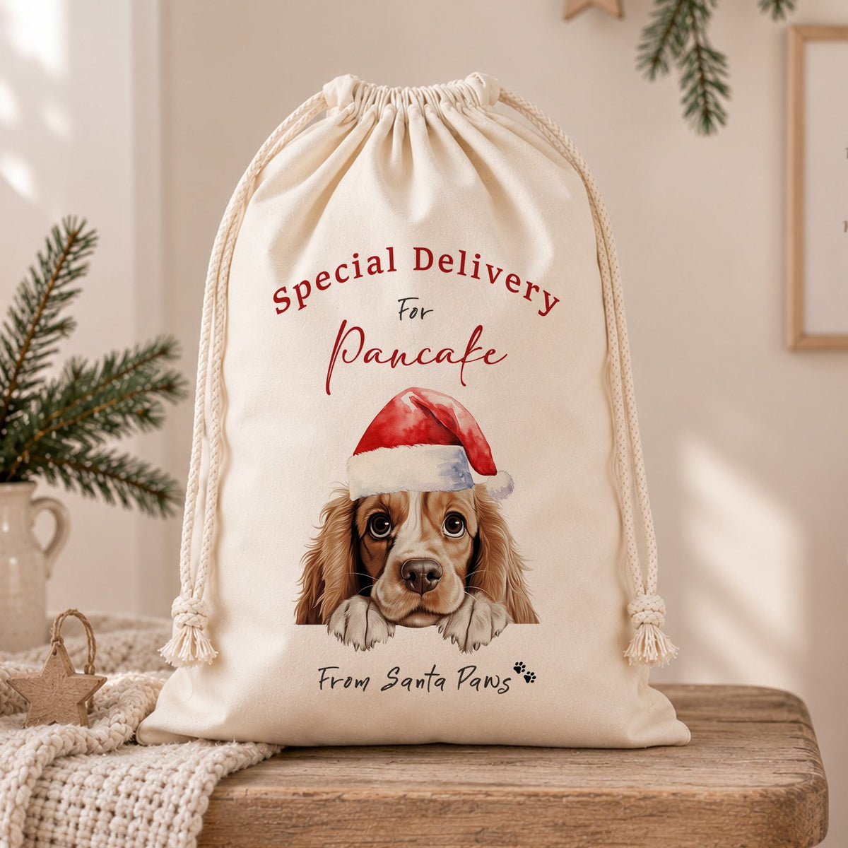 Personalised dog Christmas sack with festive dog in Santa hat, Special Delivery wording, pet’s name and From Santa Paws message.