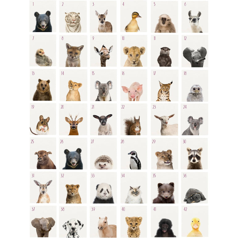 70+ Baby Safari Animals Prints | Animal Nursery Print | Peekaboo Nursery-Papier Art Designs