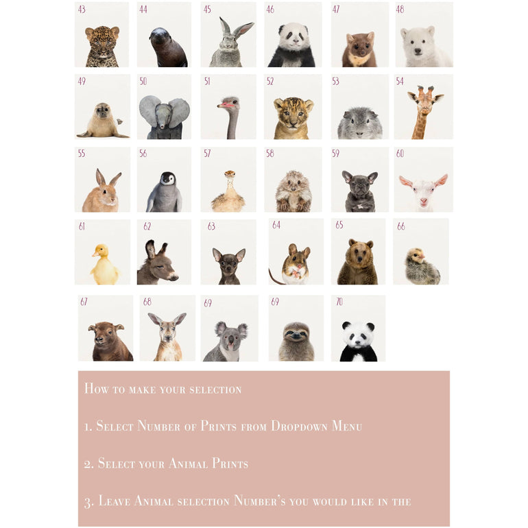 70+ Baby Safari Animals Prints | Animal Nursery Print | Peekaboo Nursery-Papier Art Designs