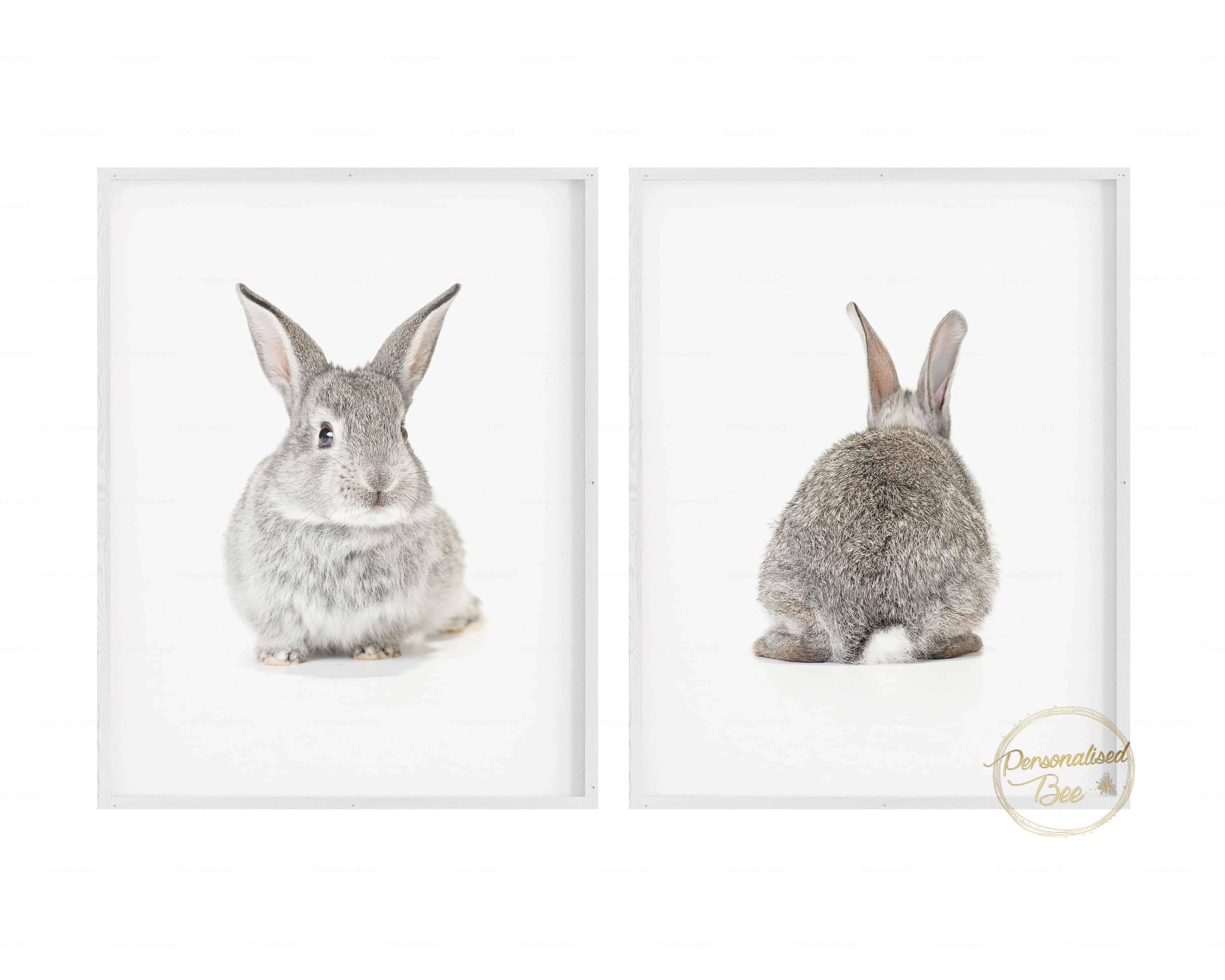Rabbit Prints - Front and Back , Set of 2.
