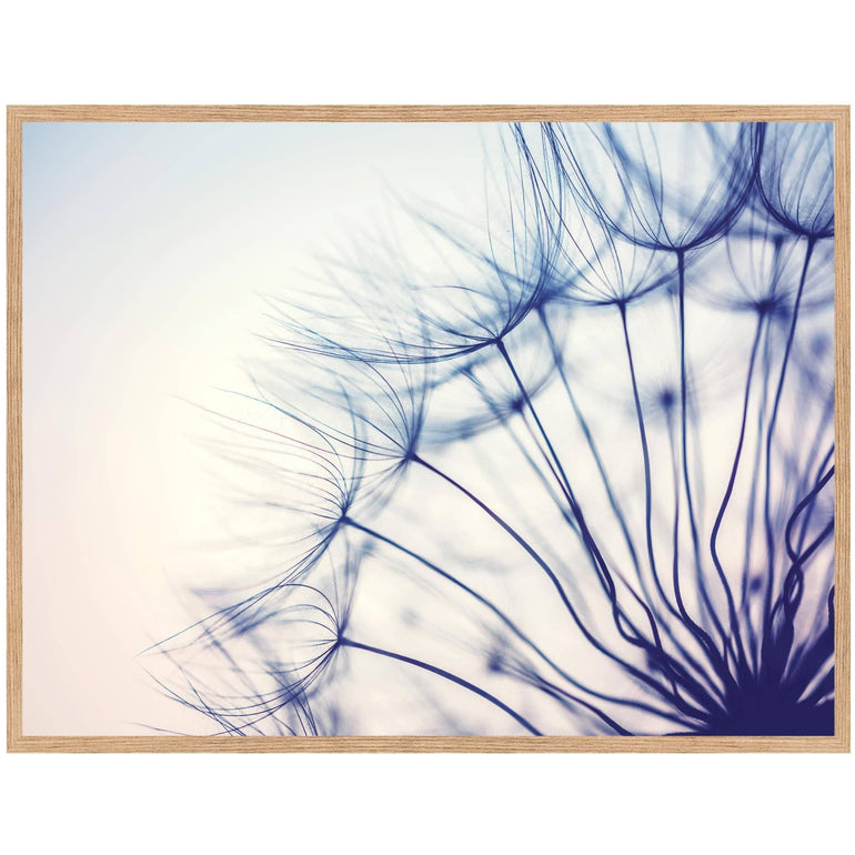 Botanical Dandelion Photo Print-Papier Art Designs