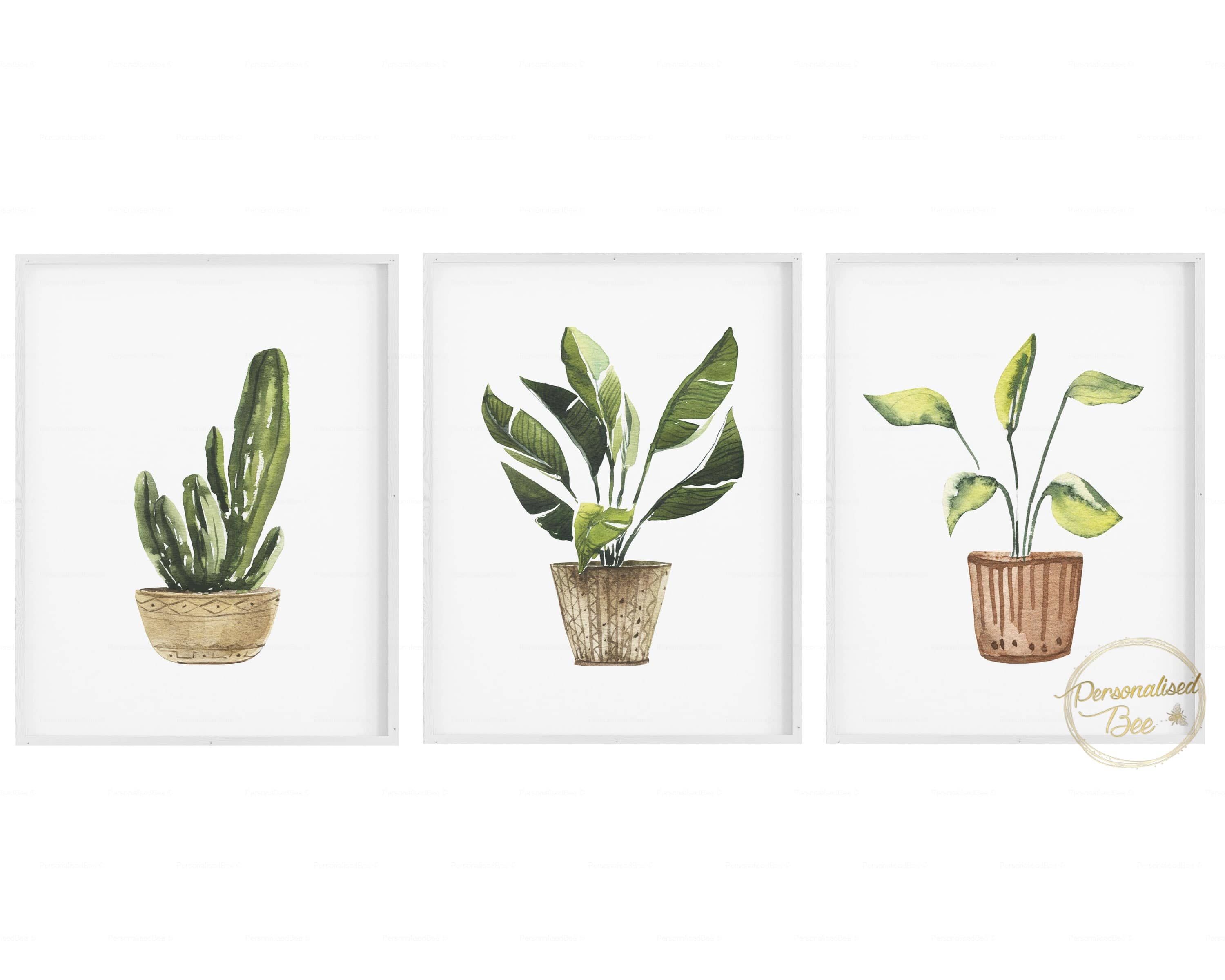 Watercolour Plant Print - Set Of 3 Kitchen.
