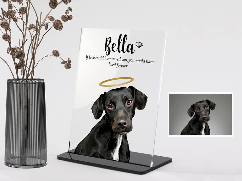 Pet Portrait from Photo, Pet Memorial Gift, Pet Bereavement Gift, In Loving Memory Personalised Pet Gift, Pet Memorial Frame, Acrylic Plaque